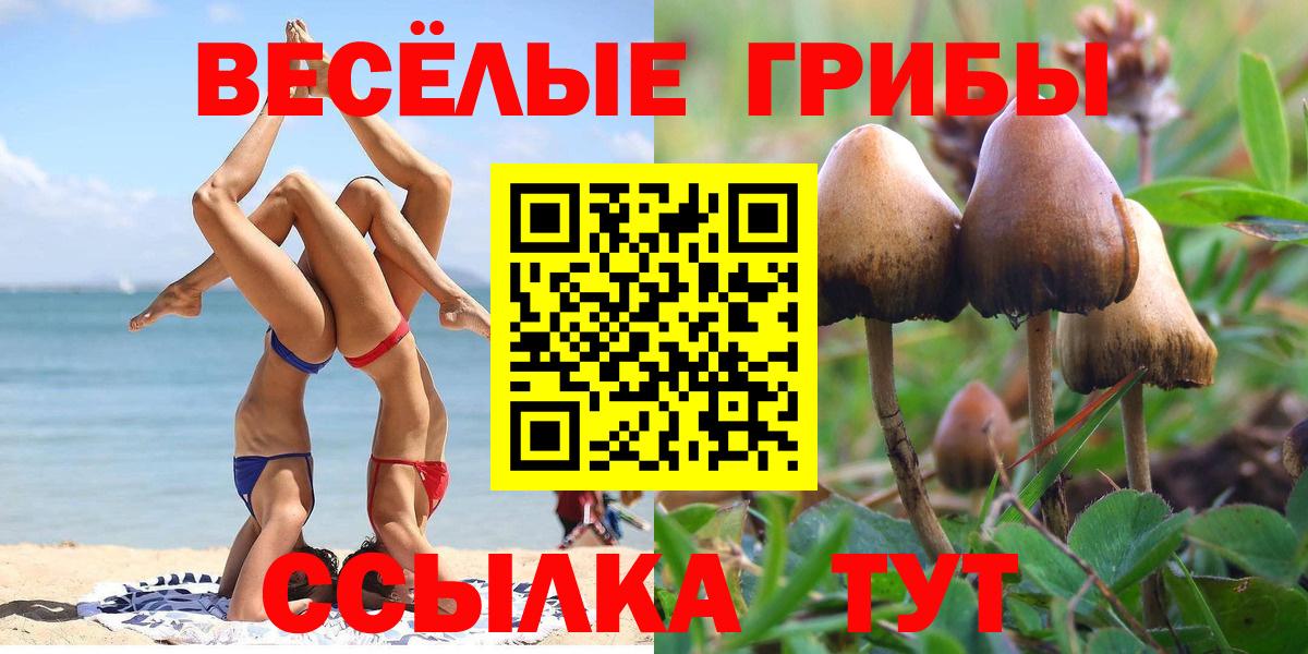 Галлюциногенные грибы ЛСД  Вход с VPN  купить наркоту  Якутск 